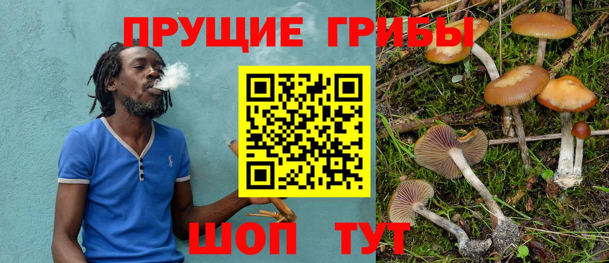 Псилоцибиновые грибы прущие грибы Смоленск